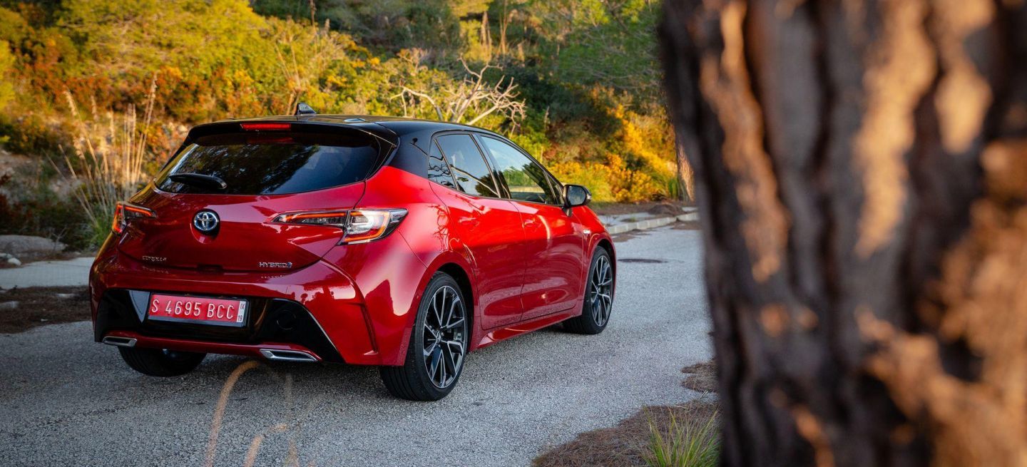 Toyota Corolla 2019 Prueba 40 Toyota Corolla 2019 Prueba 40