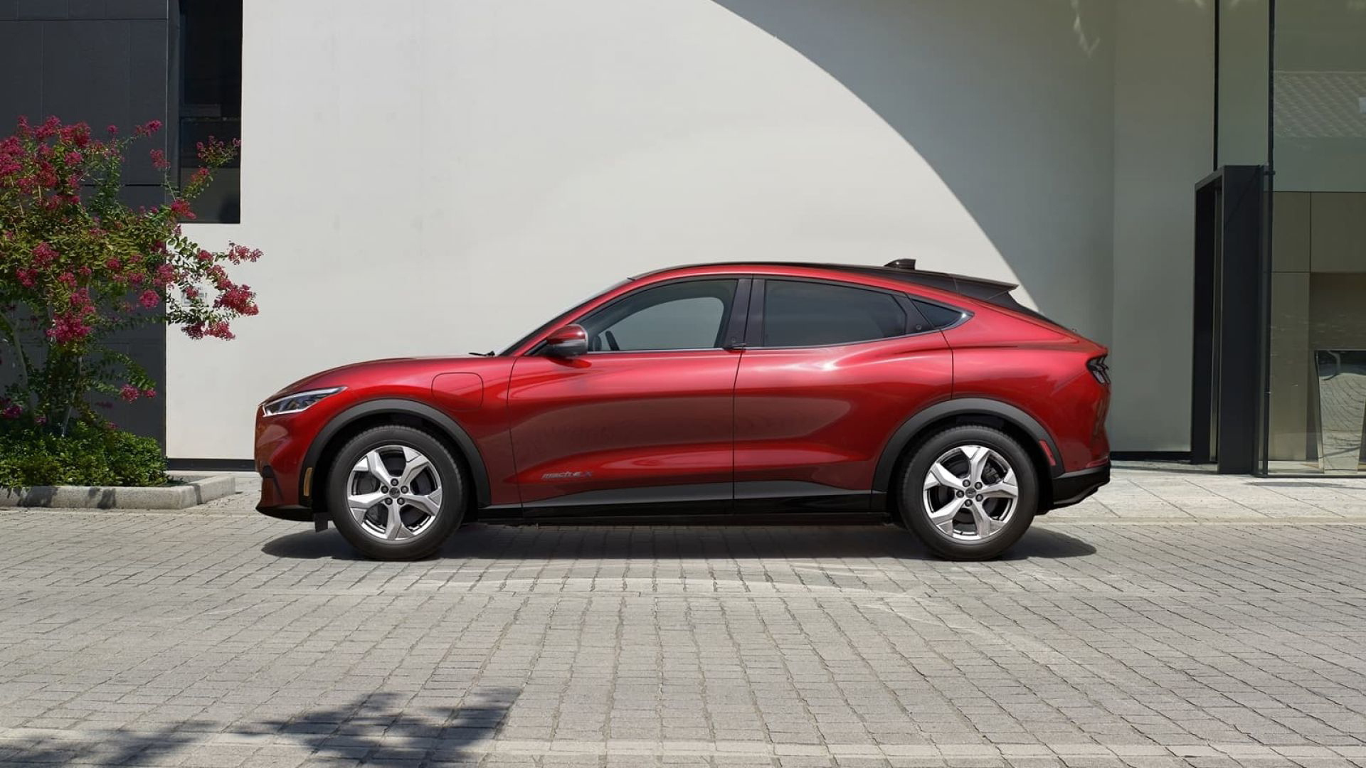 Precios Y Ofertas Del Ford Mustang Mach E Diariomotor Precios Y Ofertas Del Ford Mustang Mach E Diariomotor