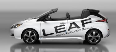 Nissan Leaf Open Air 3
