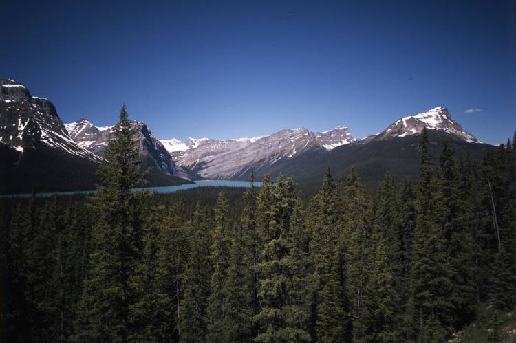 Icefields_Parkway_17 Icefields_Parkway_17