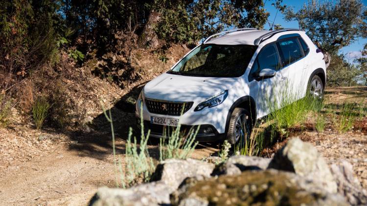 Peugeot_2008_roadtrip_DM_6_750x.jpg