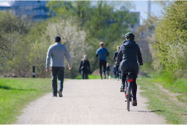 Bicycle Central Lane 01