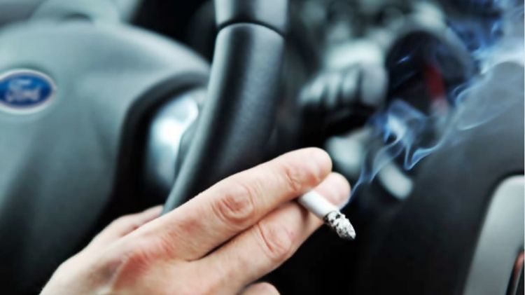 Combate Los Malos Olores Del Coche Combate Los Malos Olores Del Coche