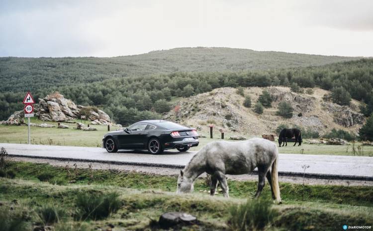 Ford Mustang Bullit Prueba Ford Mustang  12