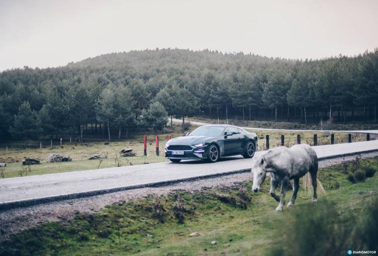 Ford Mustang Bullit Prueba Ford Mustang 14 Ford Mustang Bullit Prueba Ford Mustang 14