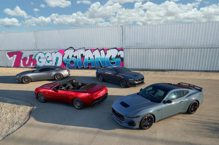 Mustang Family Of Four Mustang Family Of Four