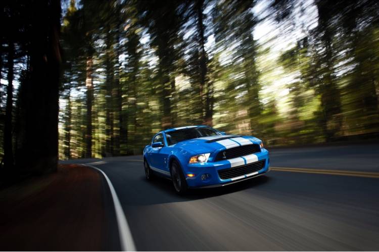 Ford Shelby GT500 Mustang 2010 Ford Shelby GT500 Mustang 2010