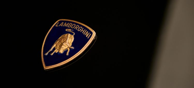 Lamborghini Logo  01