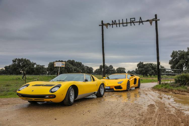 lamborghini_miura_ganaderia_dm_2