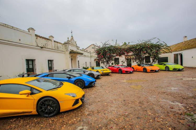 lamborghini_miura_ganaderia_dm_5