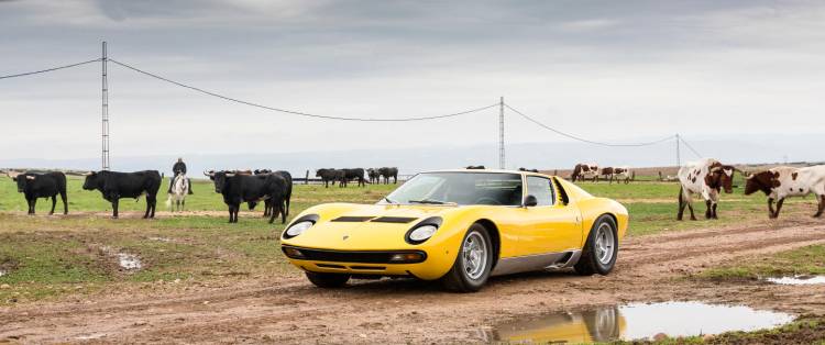 lamborghini_miura_ganaderia_dm_8