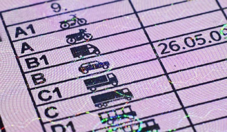 Mitad Jovenes No Tienen Carnet Conducir 2 Mitad Jovenes No Tienen Carnet Conducir 2