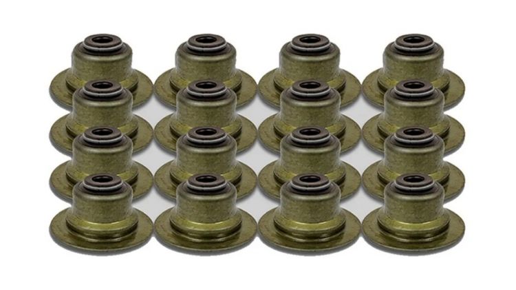 Valve Seal