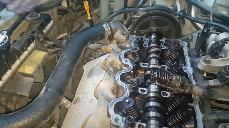 Valve Seal