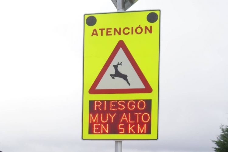 Pioneering Traffic Signs Animal Presence Sections 02