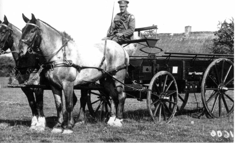 shooting-brake-3