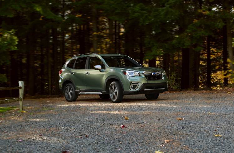 subaru_forester_2019_10 subaru_forester_2019_10