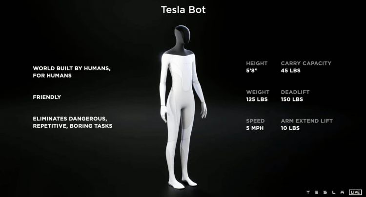 Tesla Bot  03