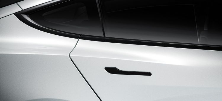 Tesla Manetas Congeladas  01