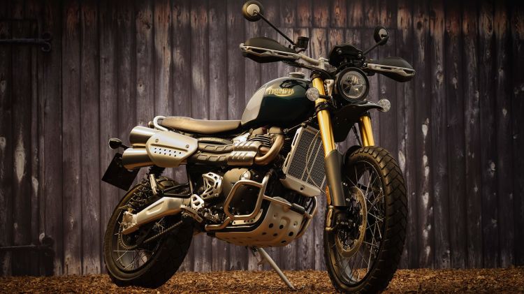 Triumph Scrambler Steve Mcqueen 1200 03 Triumph Scrambler Steve Mcqueen 1200 03