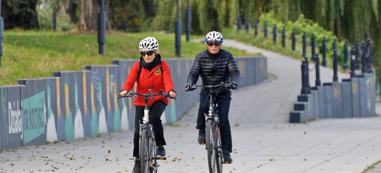 Ciclistas Coches Rotonda Prioridad 03