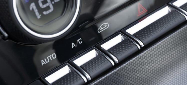 jaguar_ftype_prueba30