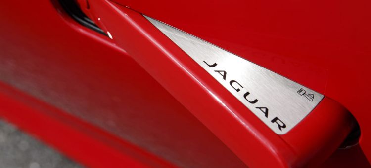 jaguar_ftype_prueba32