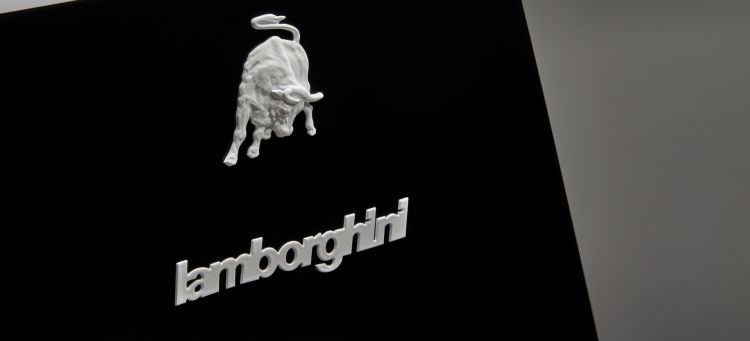 Lamborghini Logo 02