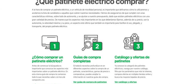 Mapache Guru Patintes Electricos Guia