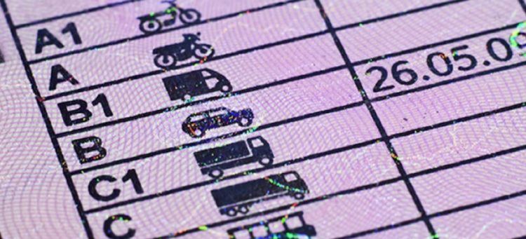 Mitad Jovenes No Tienen Carnet Conducir 2