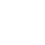 TikTok Icon